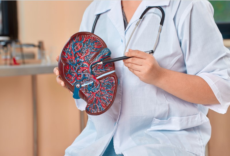 Razstrupljanje jeter